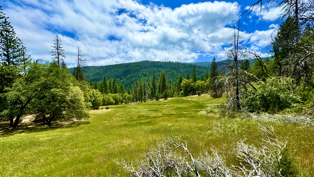 Deafy Glade in the spring with mountains of the Mendocino National Forest in the background.