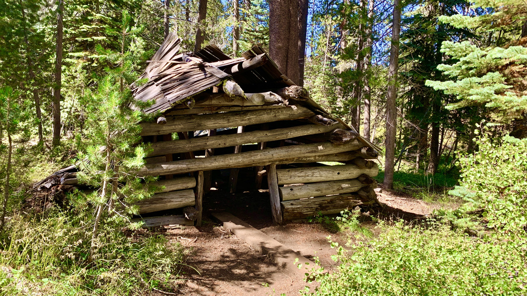 McGruk Cabin in a state of decay.