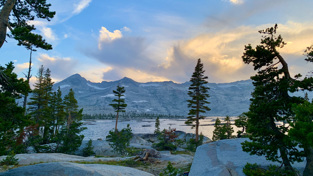 Lake Aloha sits behind pine trees with mountains behind it.