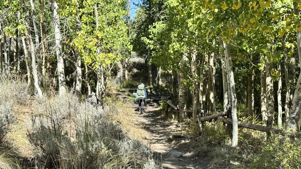 A hiker traverses under canopy near the trailhead.