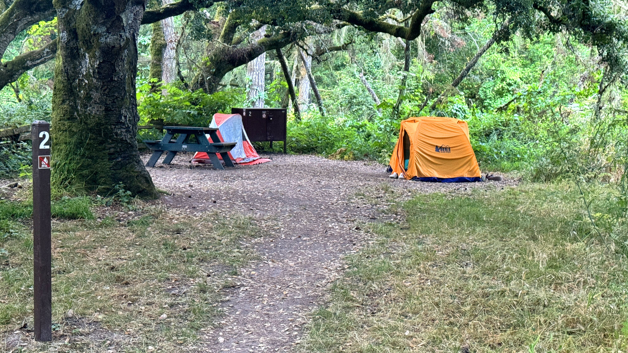 Tents in a campsite under canopy.