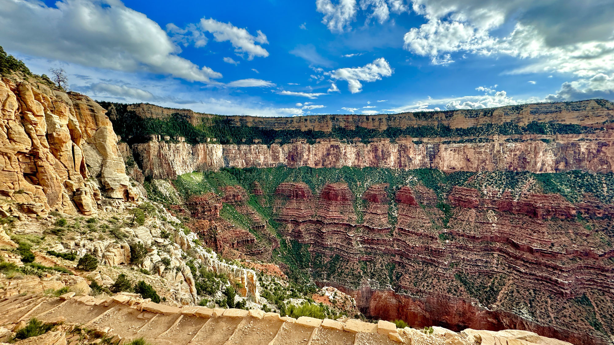 The colors in the walls of the down in the canyon on the way to and from Ohh Ahh Point.