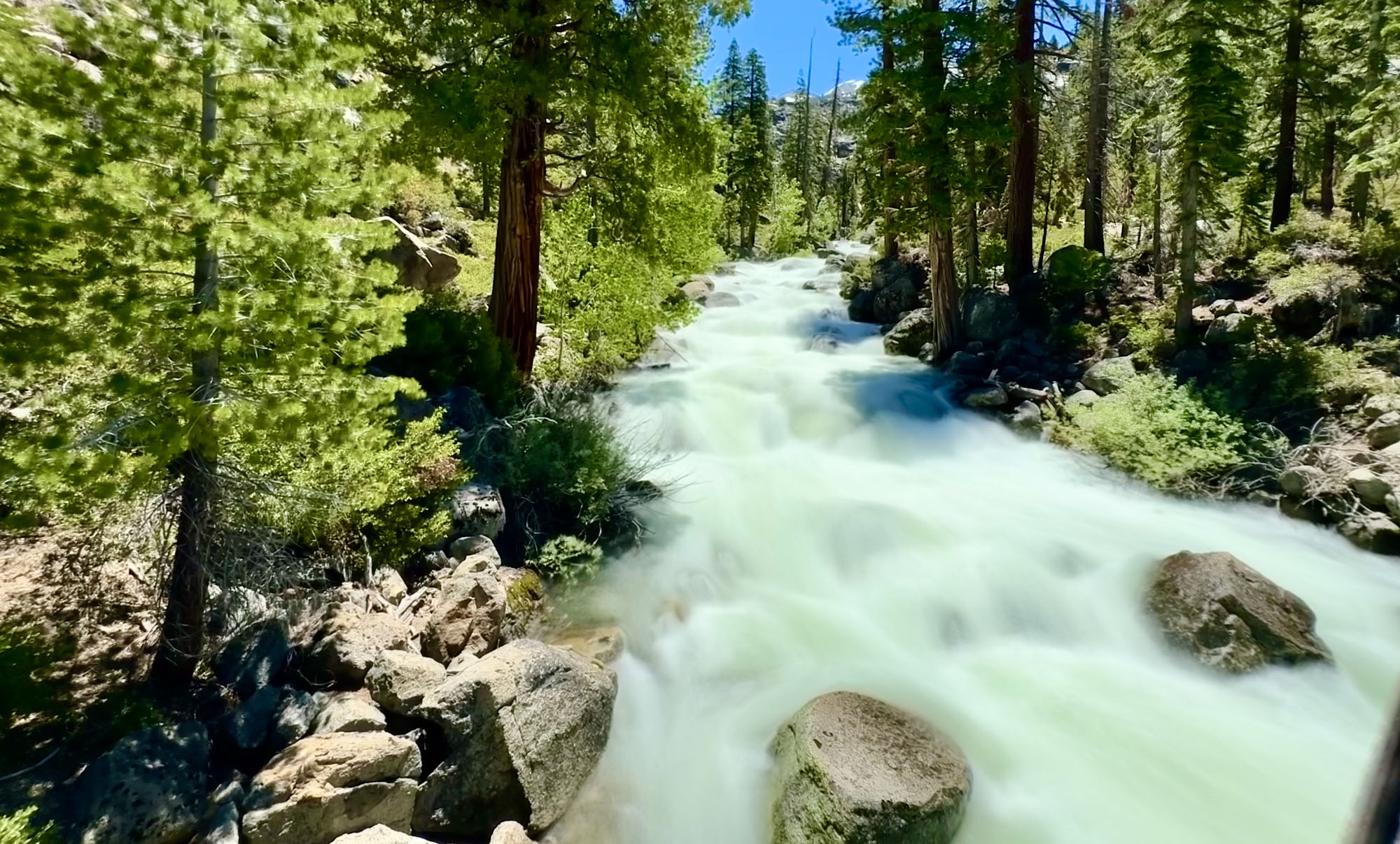 The Middle Fork of the Stanislaus River flows through the forest between pine trees.