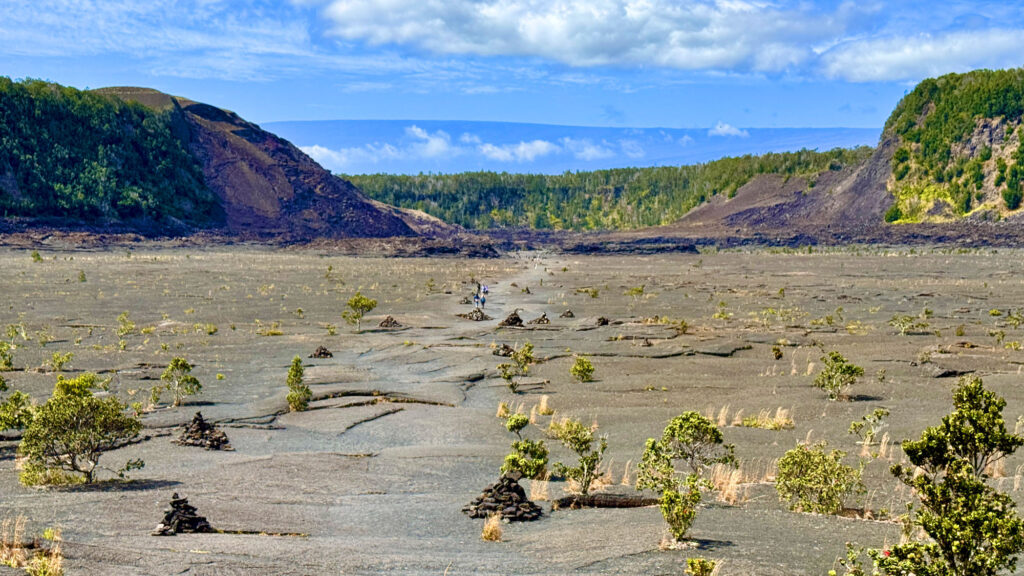 A trail cuts through the Kīlauea Iki crater looking at the rim in the distance with green tropical growth on it.