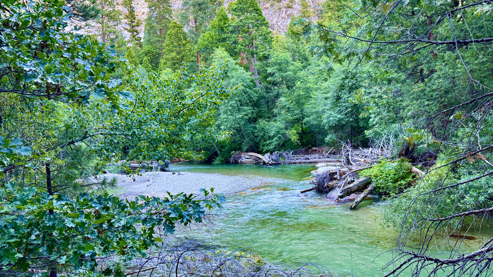 Water from south fork of the Kings River flows through the forest. 