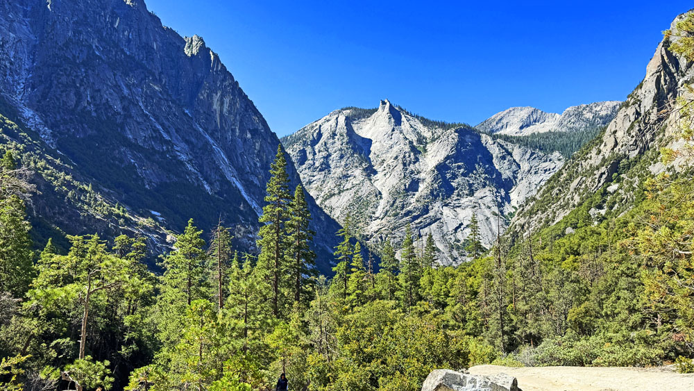Pine trees sit on the foreground of Palmer Mountain in Kings Canyon National Park.